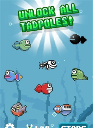 tadpole tapİ