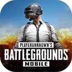 PUBG