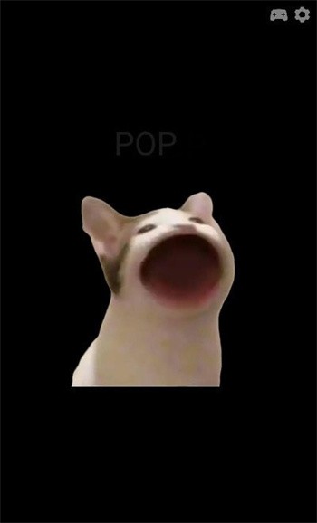 PopCat׿