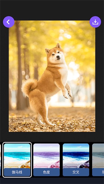 ����Ӱ���ֻ�������