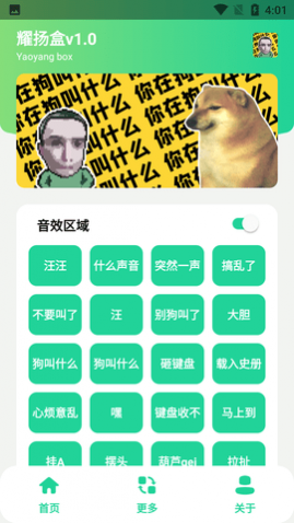 ҫAPP޹洿