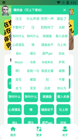 ҫAPP޹洿