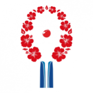 ��ƹͨ��׿���°�