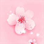 ӣƵ߹ۿwww  v5.6.2