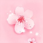 桃花直播日本免费高清最新版 v1.3.2