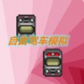 自由驾车模拟器内购版