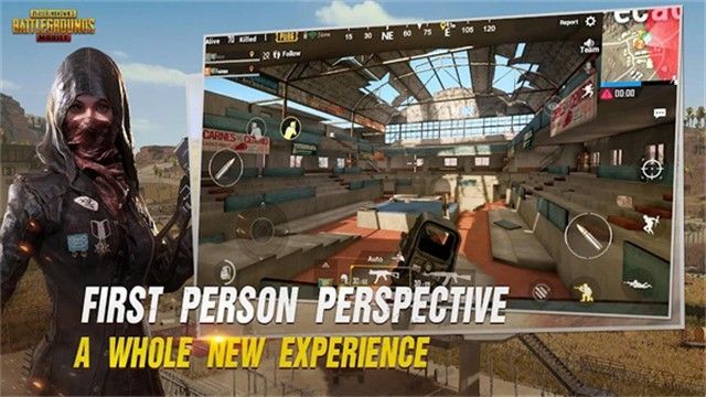 pubgԷ2025°汾