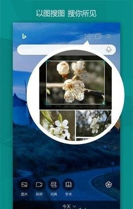 Ӧͼֻ