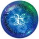 ֻ  v2.3.1