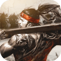 名将无双 v1.0