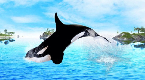 ģ޾