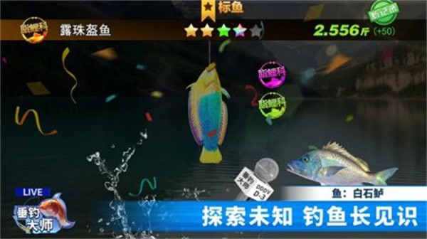 ʦƽ޽ʯذװ