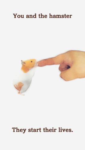 ҵĲƽ