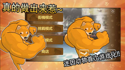 动物之斗手机版