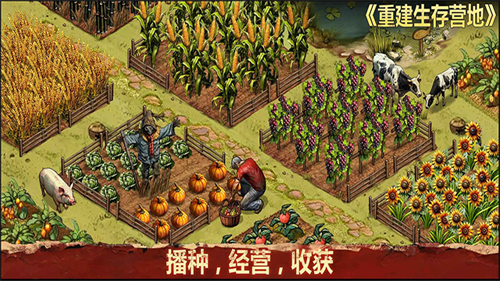 重建生存营地免广告版