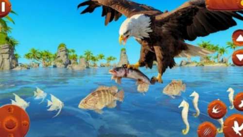 野生鸟类生活模拟器破解版下载安装