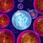 ��������2���İ�