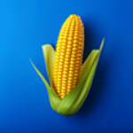 ũ�������޹���