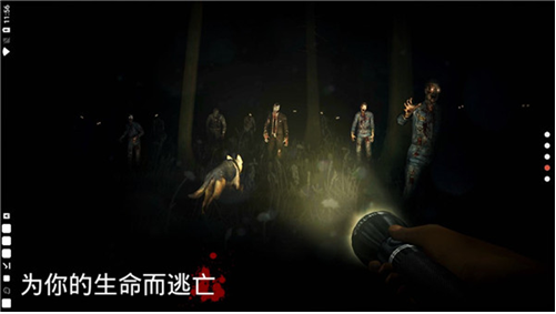 �´����˹��ƽ��