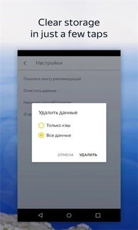 Browser�������׿��v24.12