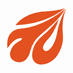 Ԫ������